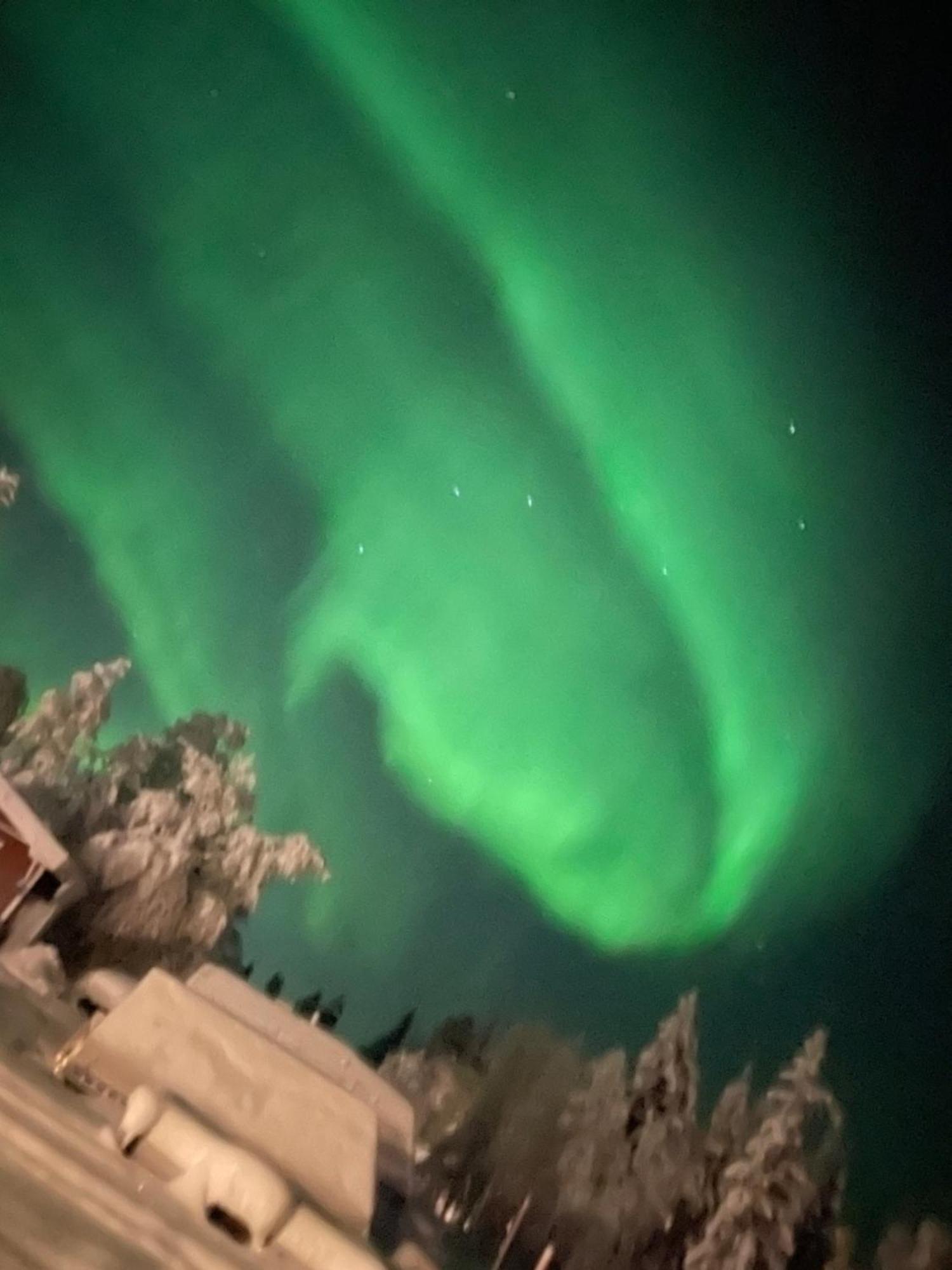 Little Adorable Red * Kiruna